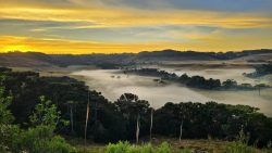 previsao-do-tempo:-sul-em-alerta-para-geadas;-centro-oeste-enfrenta-baixa-umidade-do-ar