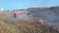 video:-incendio-atinge-area-de-vegetacao-proximo-ao-parque-do-coco,-em-fortaleza