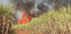 incendio-atinge-canavial-em-area-de-fazenda-na-regiao-do-capim-fino-em-piracicaba