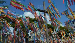 transito-no-centro-de-montes-claros-tera-alteracoes-por-causa-das-festas-de-agosto-a-partir-desta-quinta