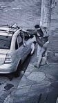 video:-homem-‘arromba’-porta-de-carro,-senta-no-banco-do-carona-e-furta-documentos-e-outros-objetos-em-mg