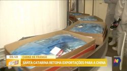 santa-catarina-retoma-exportacoes-de-carne-de-frango-para-a-china