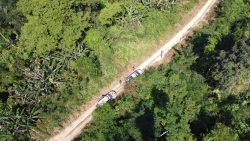 operacao-amazonia-viva:-tres-homens-sao-presos-suspeitos-de-desmatar-mais-de-39-hectares-em-area-da-uniao,-em-prainha