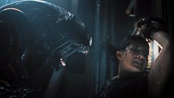 ‘alien:-romulus’-e-‘princesa-adormecida’-estreiam-nos-cinemas-de-boa-vista