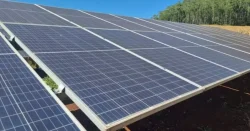 como-deve-funcionar-a-fazenda-solar-destinada-a-producao-de-energia-para-escolas-em-criciuma