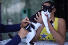 campanha-de-vacinacao-antirrabica:-veja-onde-vacinar-caes-e-gatos-neste-fim-de-semana-em-mossoro