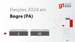 eleicoes-2024-em-bagre-(pa):-veja-os-candidatos-a-prefeito-e-a-vereador