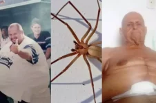 gordo-mais-rapido-do-brasil:-quem-e-o-homem-que-pede-doacoes-apos-picada-de-aranha