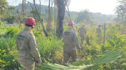 incendio-em-area-de-mata-no-bairro-vigia,-em-santarem,-gera-transtornos-para-moradores