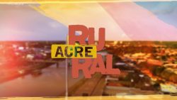 videos:-acre-rural-deste-domingo,-18-de-agosto-de-2024