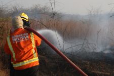 regiao-oeste-do-rn-registra-pelo-menos-24-incendios-florestais-no-fim-de-semana,-aponta-corpo-de-bombeiros