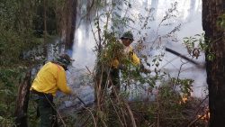 ministerio-publico-apura-politicas-de-prevencao-a-incendios-na-serra-do-japi-em-jundiai