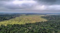 desmatamento-tem-queda-recorde-na-amazonia-mas-aumenta-no-cerrado