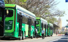 regiao-metropolitana-de-goiania-passa-a-ter-60-novos-onibus-no-transporte-coletivo;-veja-detalhes