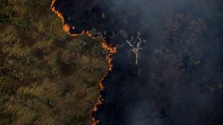 crise-de-fumaca:-incendios-na-amazonia-alcancam-niveis-recordes-e-afetam-todo-o-brasil