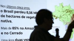 brasil-ja-perdeu-33%-das-areas-naturais-de-seu-territorio,-divulga-mapbiomas