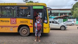 passe-livre-estudantil-garante-58-viagens-mensais-de-onibus-no-amapa;-veja-como-fazer-cadastro