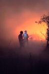 incendios-no-pantanal-ja-destruiram-area-equivalente-ao-estado-do-sergipe:-2,093-milhoes-de-hectares