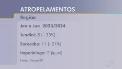 sorocaba-e-jundiai-registram-aumento-no-numero-de-mortes-por-atropelamento