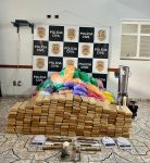 policia-civil-encontra-‘casa-bomba’-e-apreende-mais-de-200-quilos-de-maconha-em-sorocaba