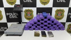 policia-civil-prende-homem-com-30-kg-de-maconha-em-residencia-de-hortolandia