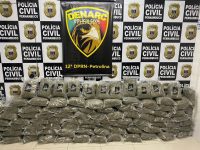 policia-apreende-94-kg-de-“maconha-chilena”-em-petrolina,-avaliada-em-quase-r$-300-mil