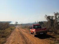 bombeiros-combatem-queimada-de-grande-proporcao-que-comecou-ha-3-dias-no-interior-de-sp