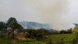 policia-prende-quinto-suspeito-de-incendios-criminosos-em-sp