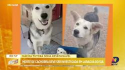 tutora-denuncia-mae-por-morte-cruel-de-cachorra-em-jaragua-do-sul