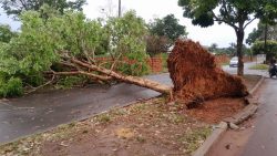 forte-chuva-atinge-itacoatiara-e-causa-transtornos-para-a-populacao