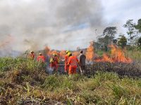 aprovados-no-processo-seletivo-para-brigadistas-no-ap-devem-fazer-taf-nesta-segunda-feira-(12)