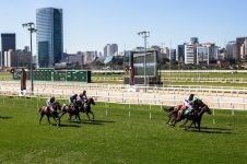 justica-aceita-pedido-do-ministerio-publico-e-suspende-lei-que-proibia-corrida-de-cavalos-em-sp