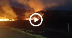 video:-incendio-atinge-50-mil-m²-de-vegetacao-em-chapeco