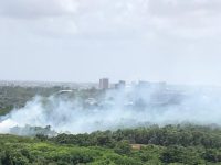 ceara-tem-duas-areas-que-nao-recebe-chuva-ha-150-dias-que-contribui-para-incendios-florestais,-diz-climatempo