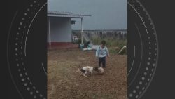 video-mostra-crianca-venezuelana-e-cachorrinha-que-morreram-em-queda-de-aviao-brincando-horas-antes-de-acidente