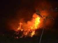 defesa-civil-de-sp-alerta-para-risco-de-novas-queimadas-no-vale-do-paraiba-e-regiao;-entenda