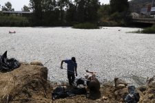 veja:-cem-toneladas-de-peixes-mortos-aparecem-em-rio-na-grecia
