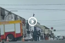 video:-gamba-trapalhao-faz-‘tirolesa’-no-centro-de-cidade-de-sc-e-causa-confusao