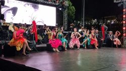 parque-das-aguas-recebe-espetaculo-gratuito-inspirado-em-musical-neste-sabado-(10)