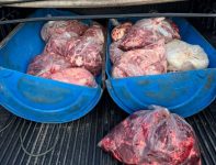 homem-e-preso-por-transportar-quase-mil-reais-em-carne-bovina-em-condicoes-inadequadas-no-ap