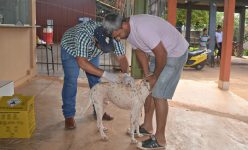 ‘pesadelos-da-oms’:-conheca-quatro-virus-mais-letais-que-a-mpox