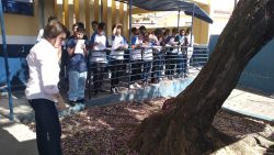 estudantes-participam-de-projeto-para-revitalizar-area-degradada-de-escola-em-porto-feliz:-‘pode-mudar-a-vida-de-muitos-alunos’