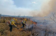 amazonas-registra-mais-de-100-mil-focos-de-queimadas-nos-primeiros-dez-dias-de-agosto,-aponta-inpe