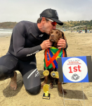 brasil-leva-3-ouros-e-1-bronze-no-surfe…-para-cachorros;-conheca-cacau,-a-grande-campea