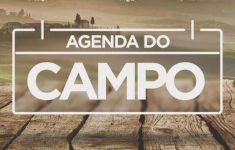 agenda-do-campo-da-semana-tem-feiras-agropecuarias-e-caminhadas-na-natureza-no-pr