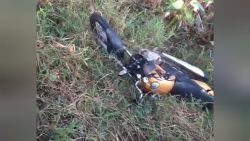 motociclista-e-encontrado-morto-no-km-6-da-pa-427-em-alenquer