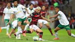 brasileirao:-flamengo-e-palmeiras-ficam-no-1-x-1.-bahia-e-sao-paulo-vencem-seus-jogos