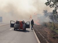 incendios-as-margens-da-br-163-em-ms-serao-alertados-em-sistema-apos-aumento-de-ocorrencias