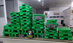 mais-de-100-quilos-de-maconha-sao-apreendidos-na-regiao-agreste-de-se