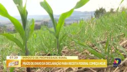 prazo-para-declaracao-do-imposto-rural-comeca-nesta-segunda-feira